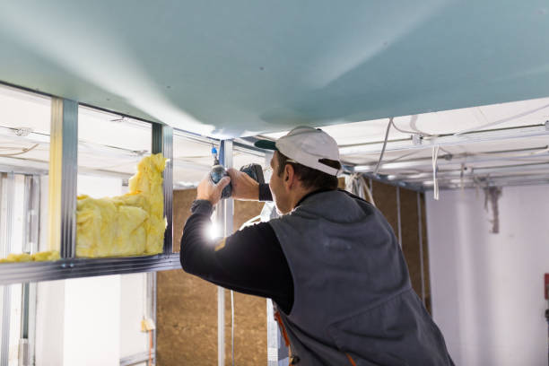 Best Attic Insulation Installation  in Shullsburg, WI