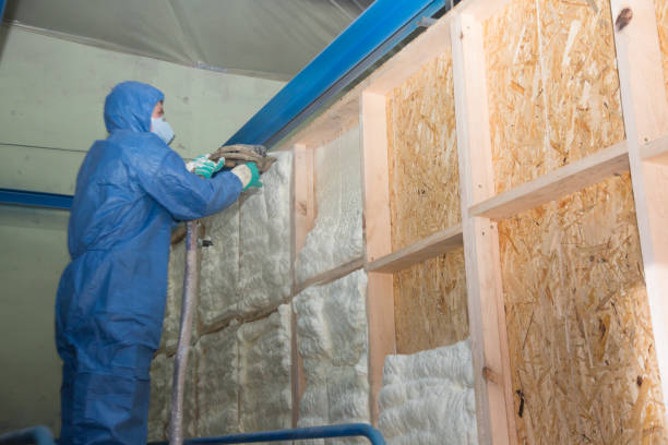 Best Affordable Insulation Services  in Shullsburg, WI